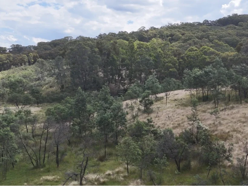 Additional image 20 of Lot 2 Kentucky Road, Neville NSW 2799