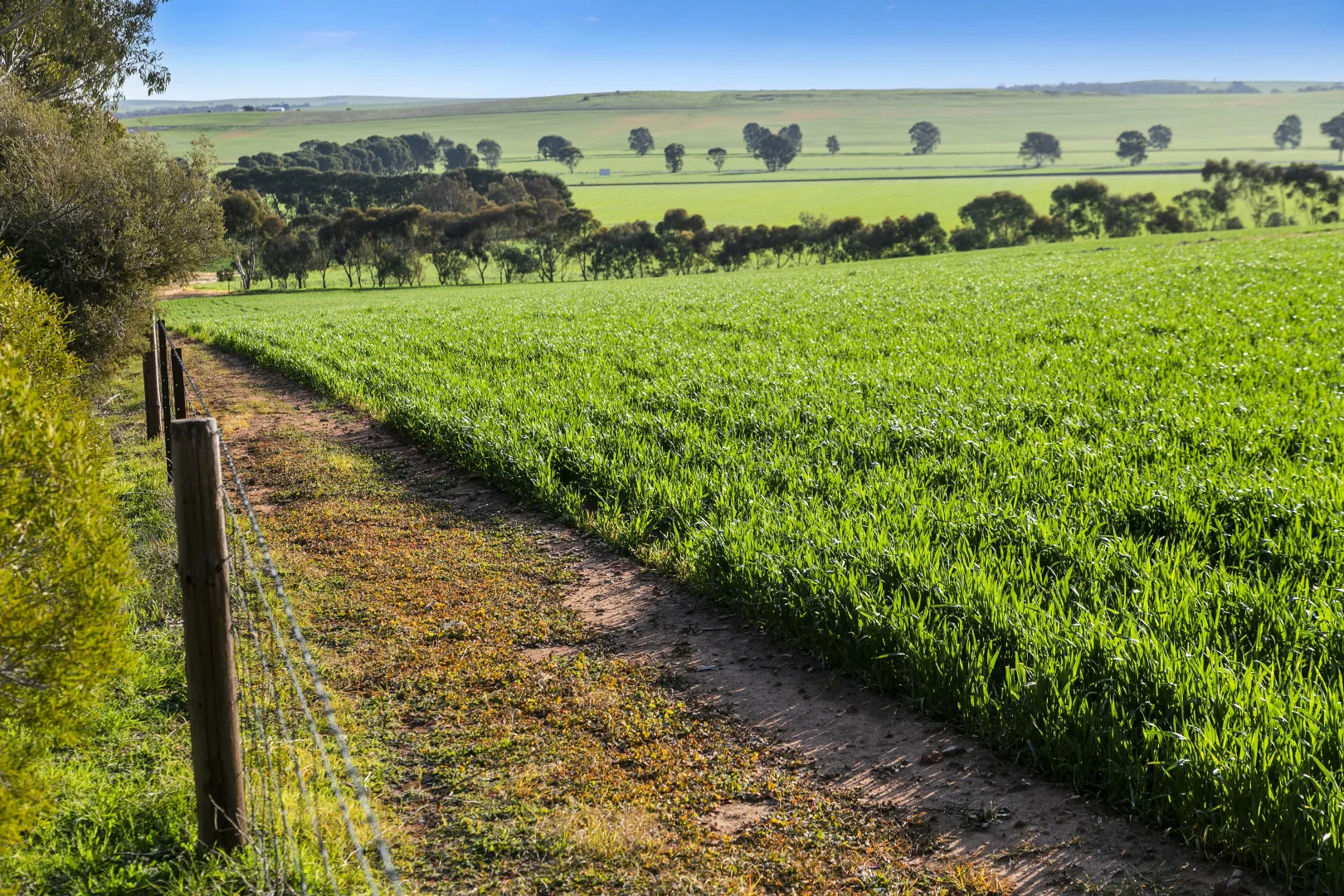 Additional image 26 of 'Hamilton Run Farm' Murchland Drive, Jamestown SA 5491