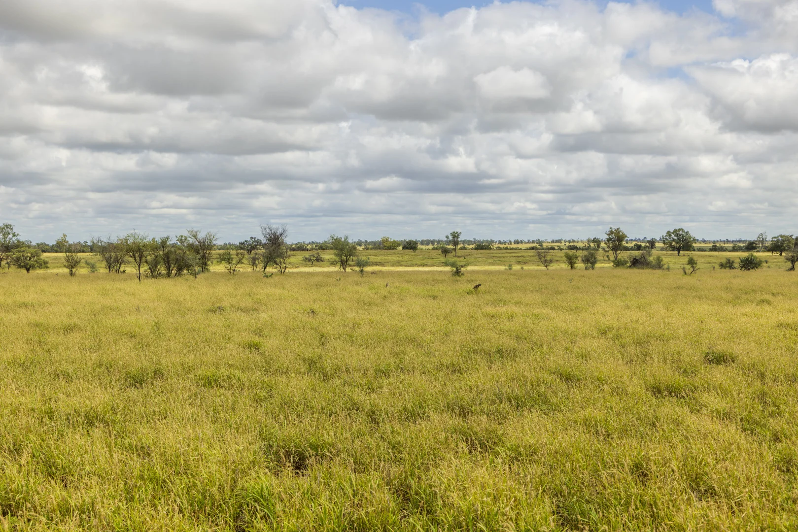 Additional image 8 of 205 Redbank Road, Roma QLD 4455
