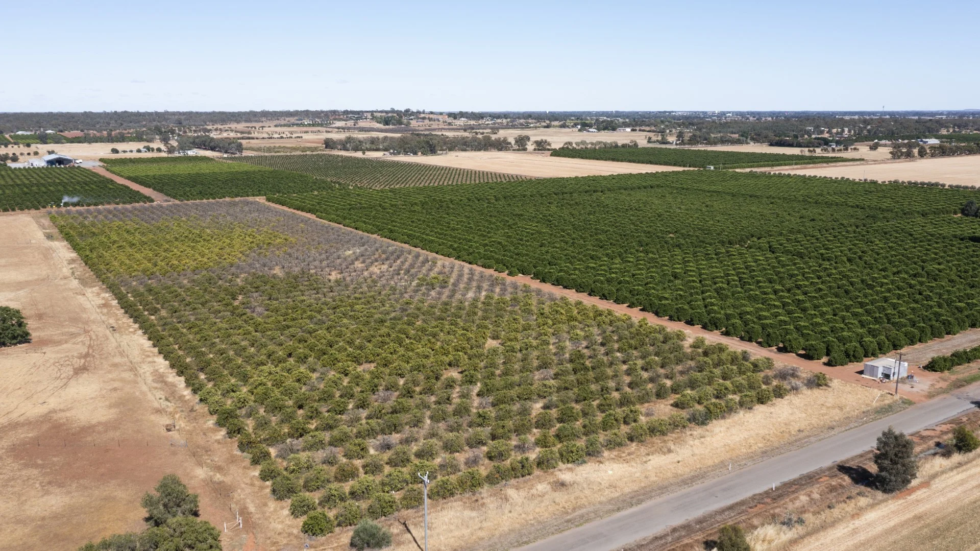 Additional image 15 of Robinson Road and Corbie Hill Road, Corbie Hill NSW 2705