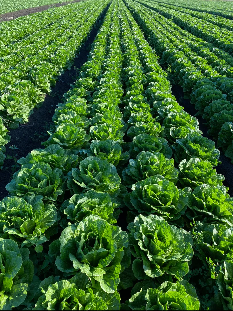 Additional image 16 of "Westview" 189 Toowoomba-Karara Road, Finnie QLD 4350