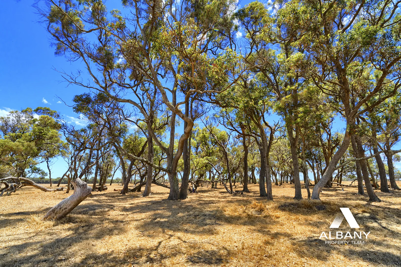 Additional image 13 of Lot 671 Horne Road, Mount Barker WA 6324