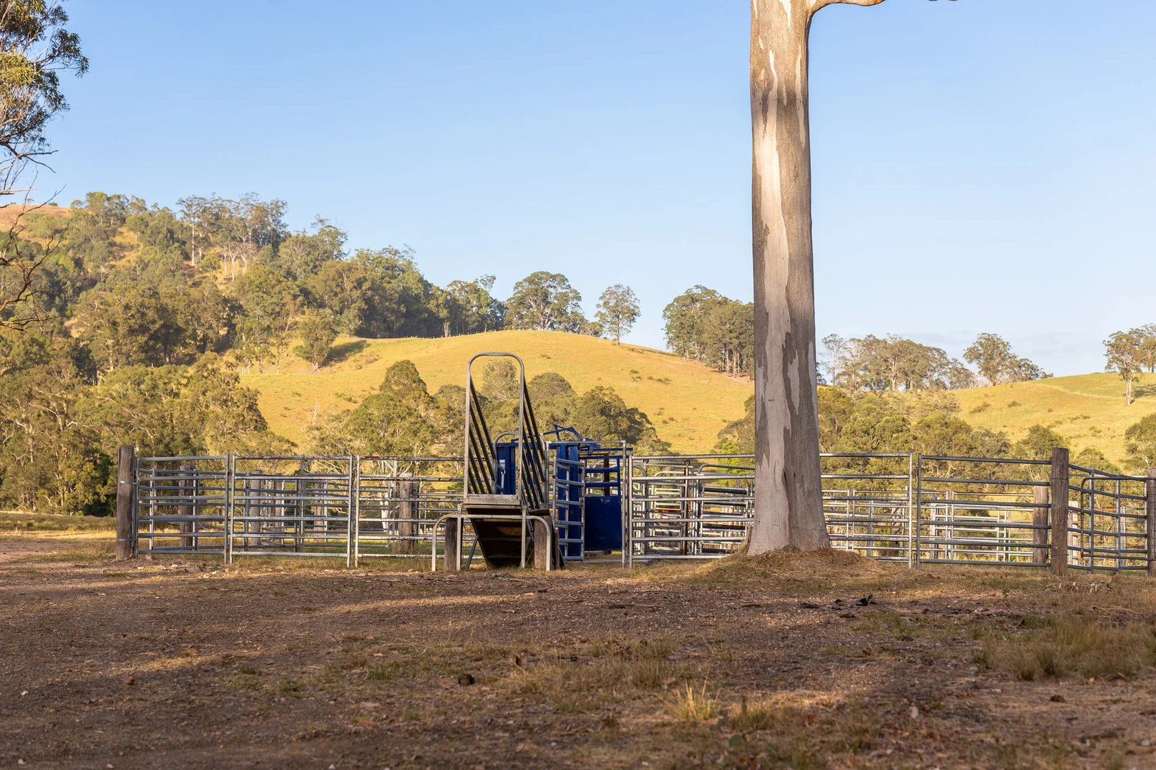 Additional image 22 of 152 Red Gully Road, Burrell Creek NSW 2429