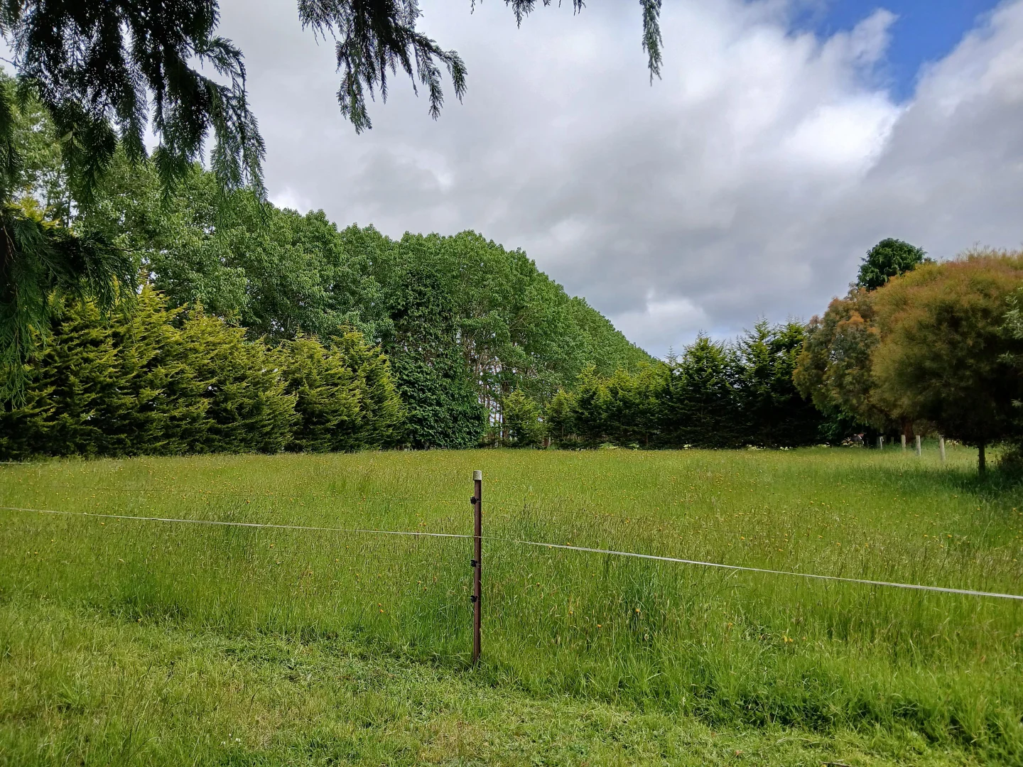 Additional image 9 of 74 Fosters Road, Wynyard TAS 7325