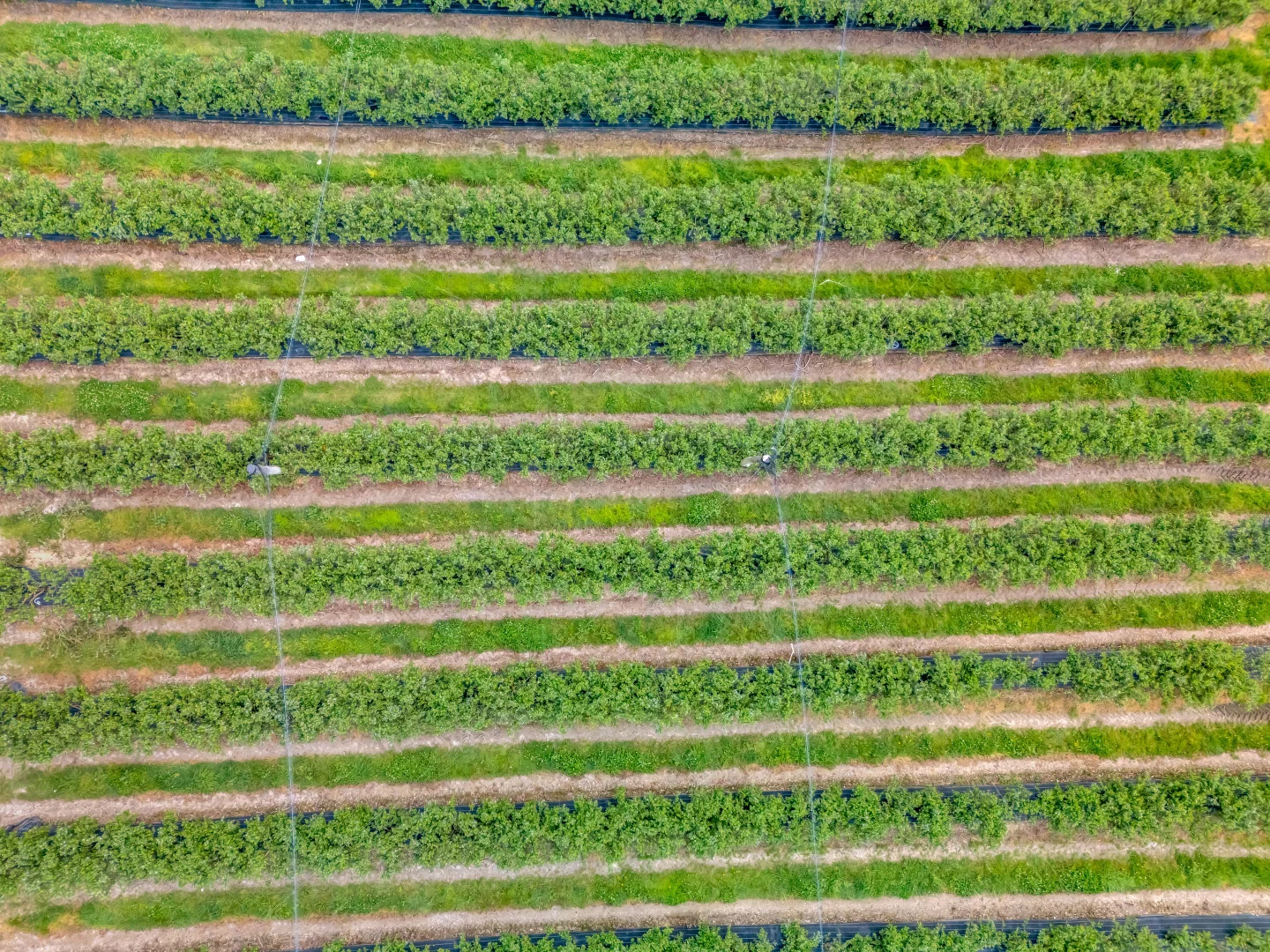 Additional image 26 of 13 Schuppe Drive, Congarinni North NSW 2447