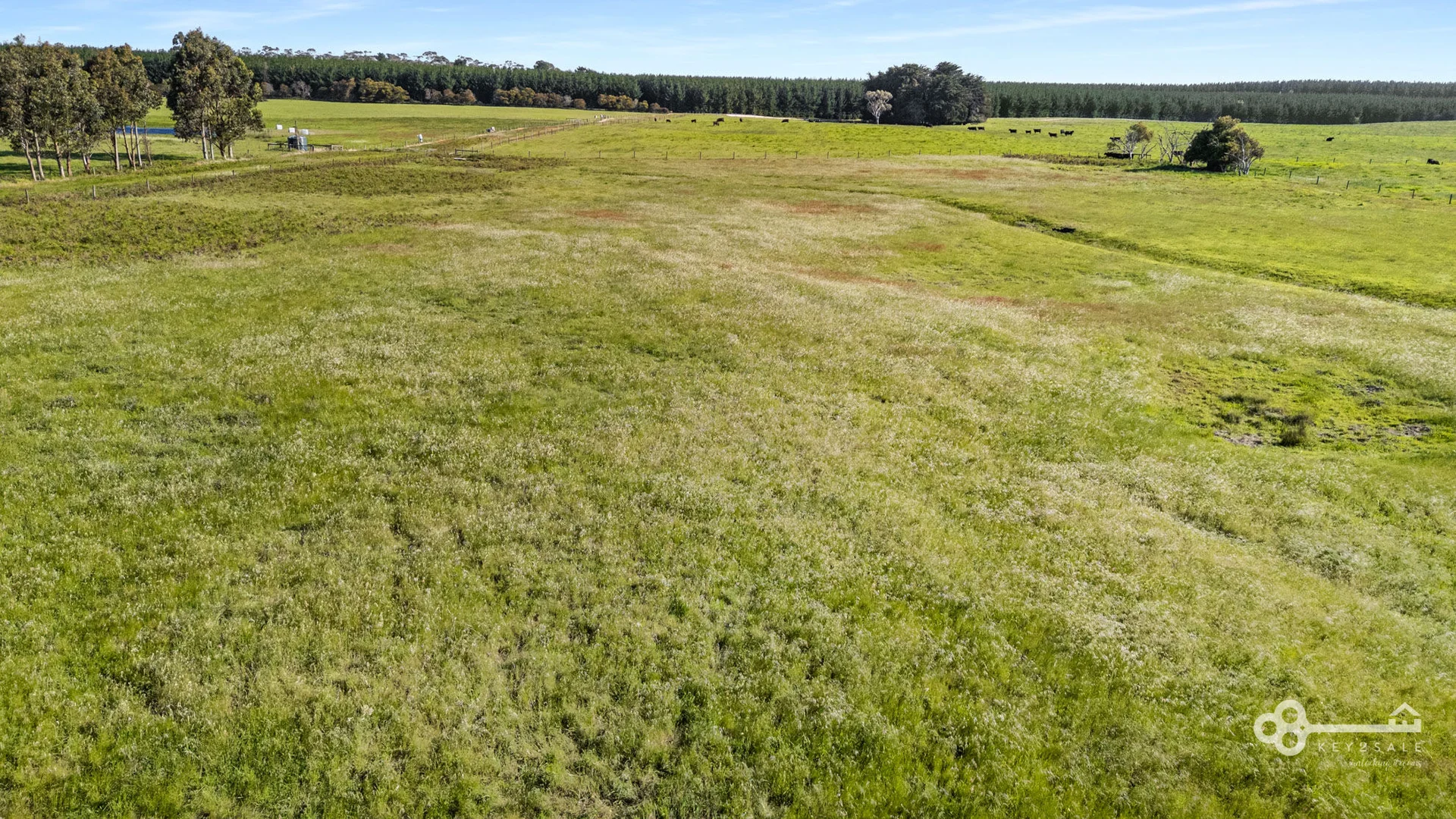 Additional image 3 of 16 Thomas Road, Glencoe SA 5291