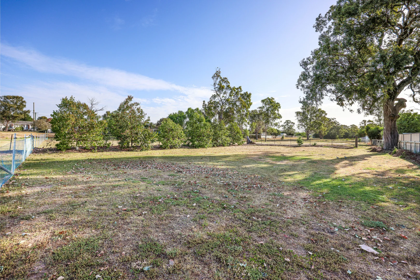 Additional image 46 of 203 Susan Street, Scone NSW 2337