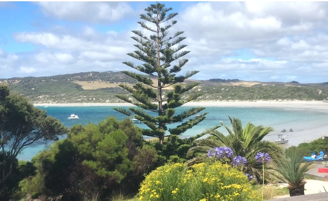 Additional image 3 of . Killiecrankie Road, Killiecrankie TAS 7255