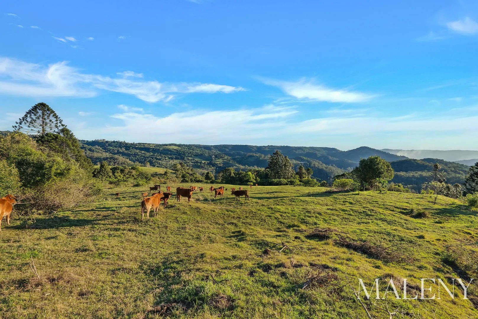 LOT 2 Maleny Kenilworth Road, Witta QLD 4552