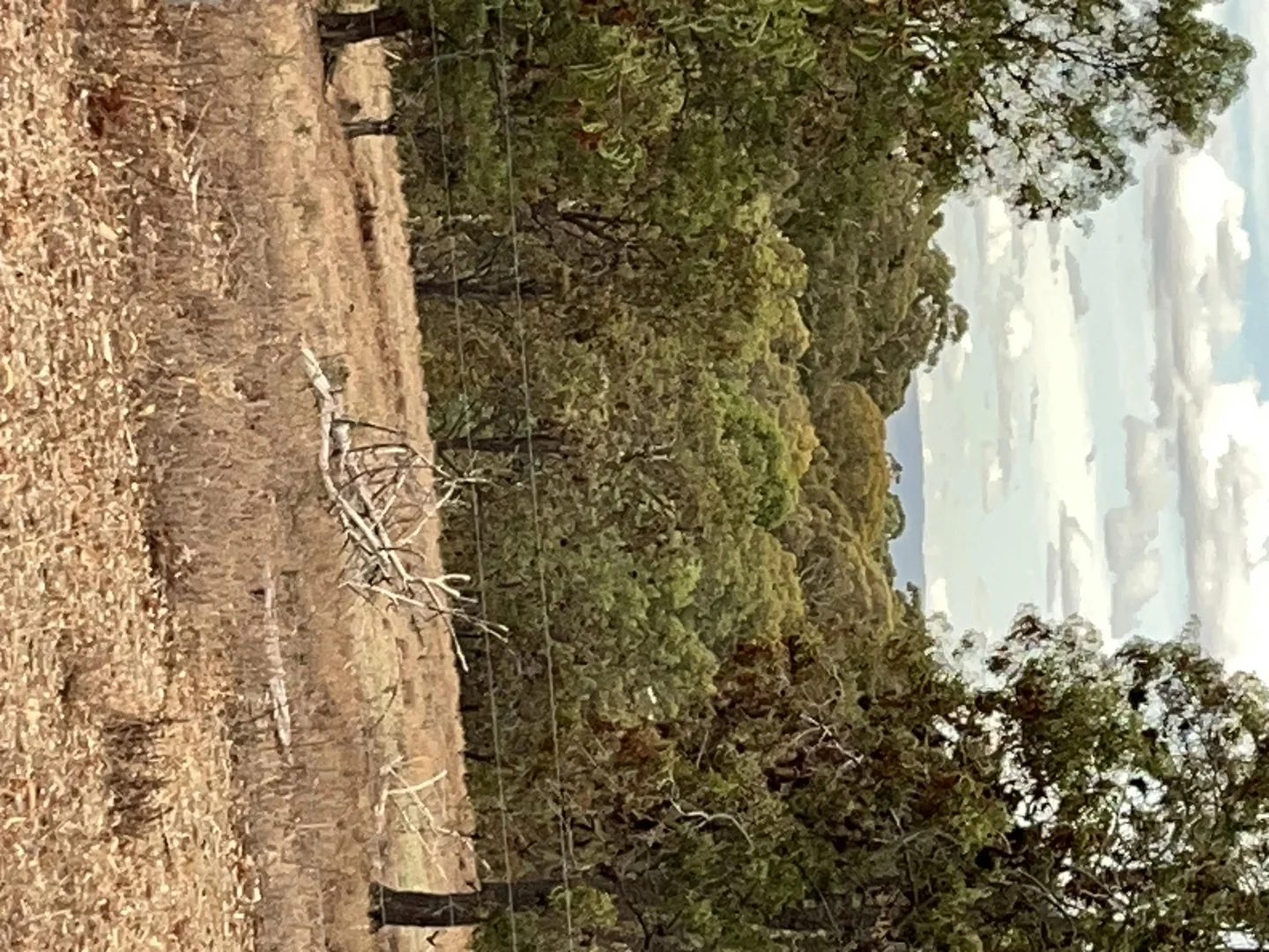 Additional image 5 of 26a Mount Tarrengower Road, Maldon VIC 3463