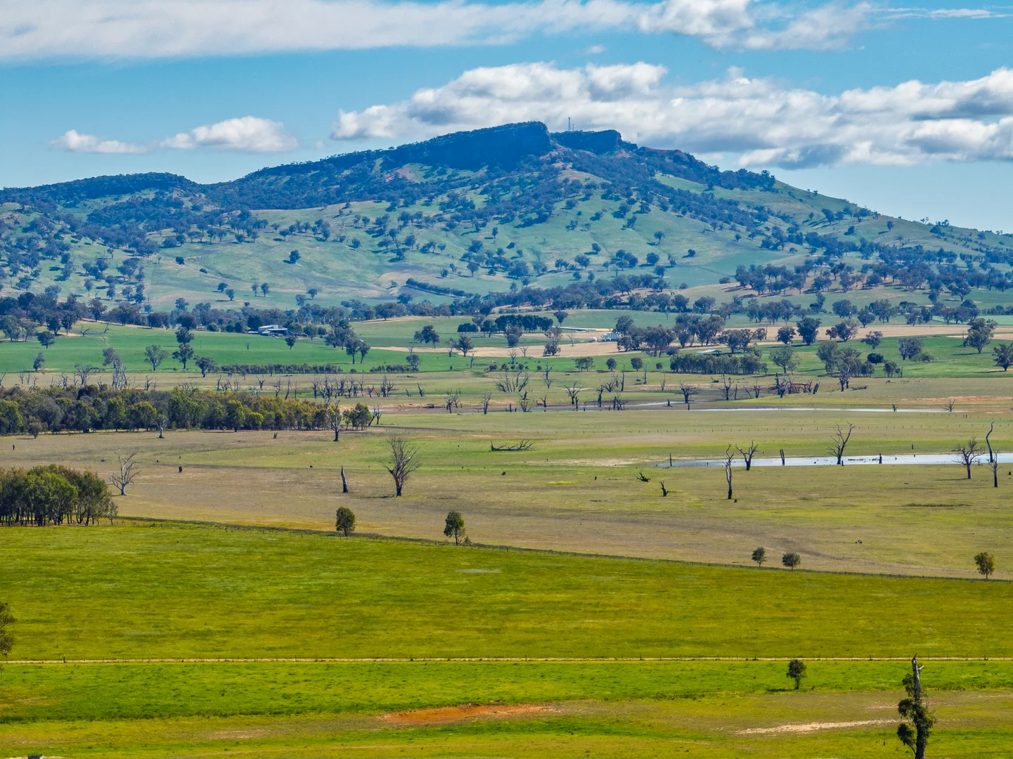 Additional image 7 of 1197 Table Top Road, Table Top NSW 2640