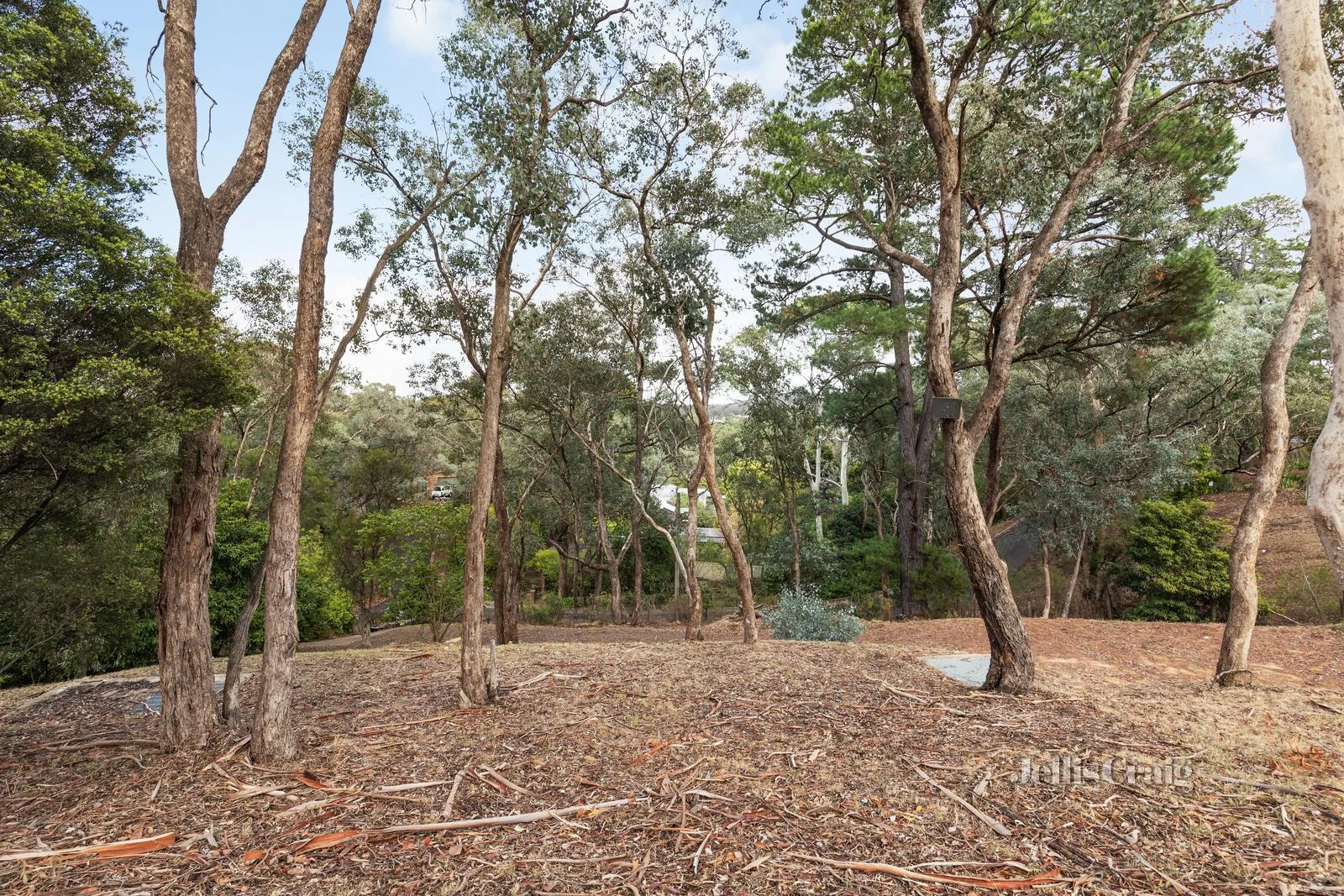 Additional image 5 of 28 Lynnbrae Avenue, Hurstbridge VIC 3099
