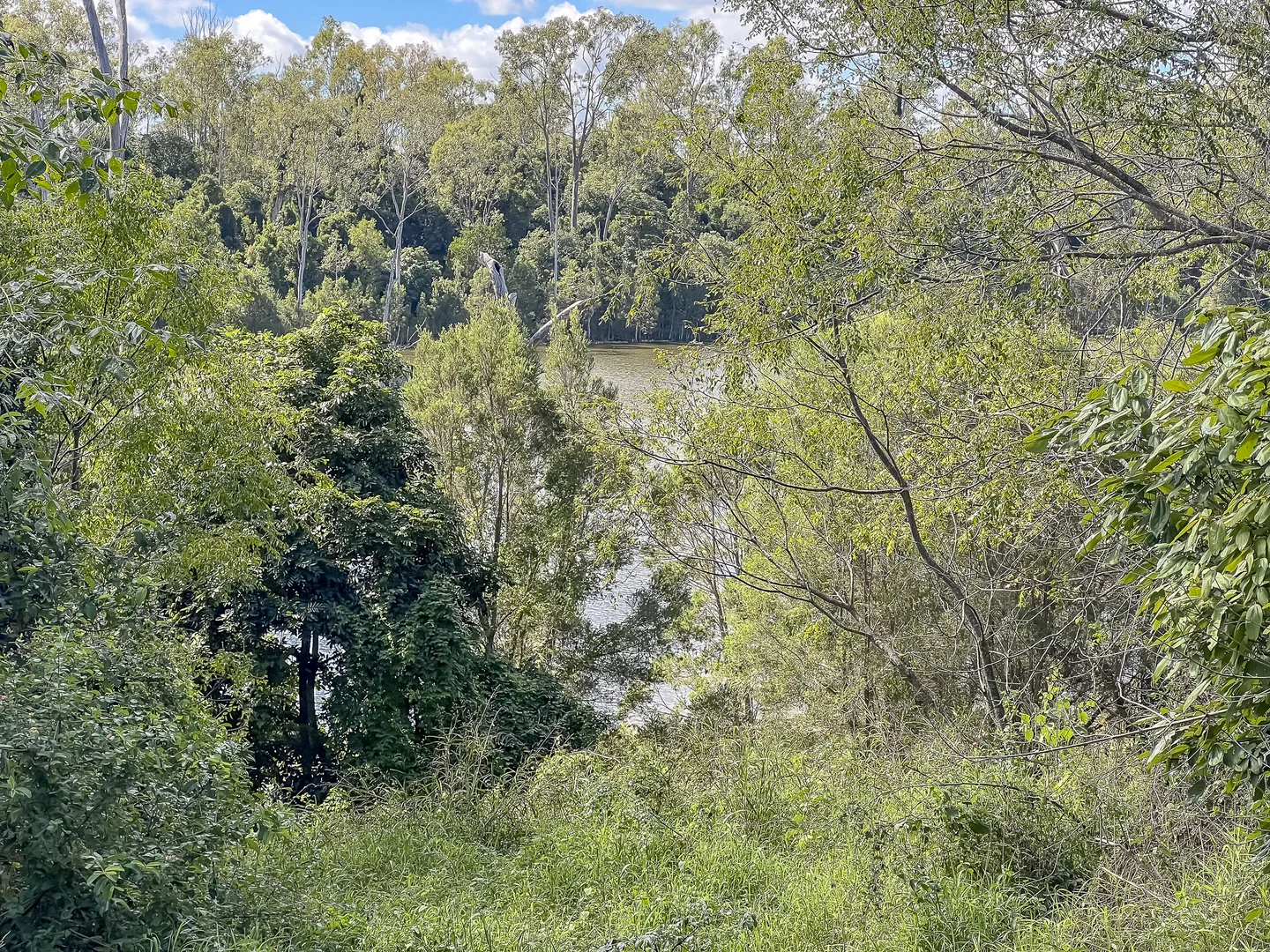 Additional image 2 of 151 Findlay Road, Duingal QLD 4671