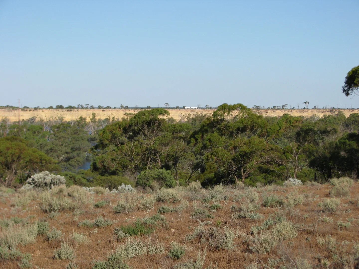 Additional image 14 of lot 1000 Merivale Street, Blanchetown SA 5357