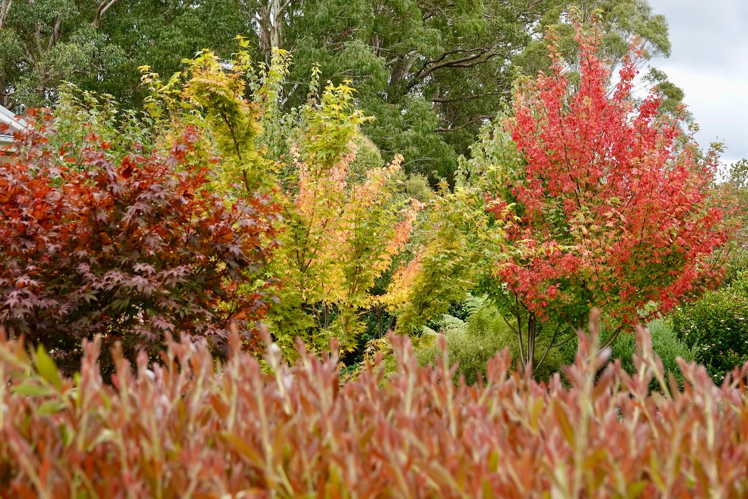 Additional image 18 of 10223 Armidale Road, Hernani NSW 2453