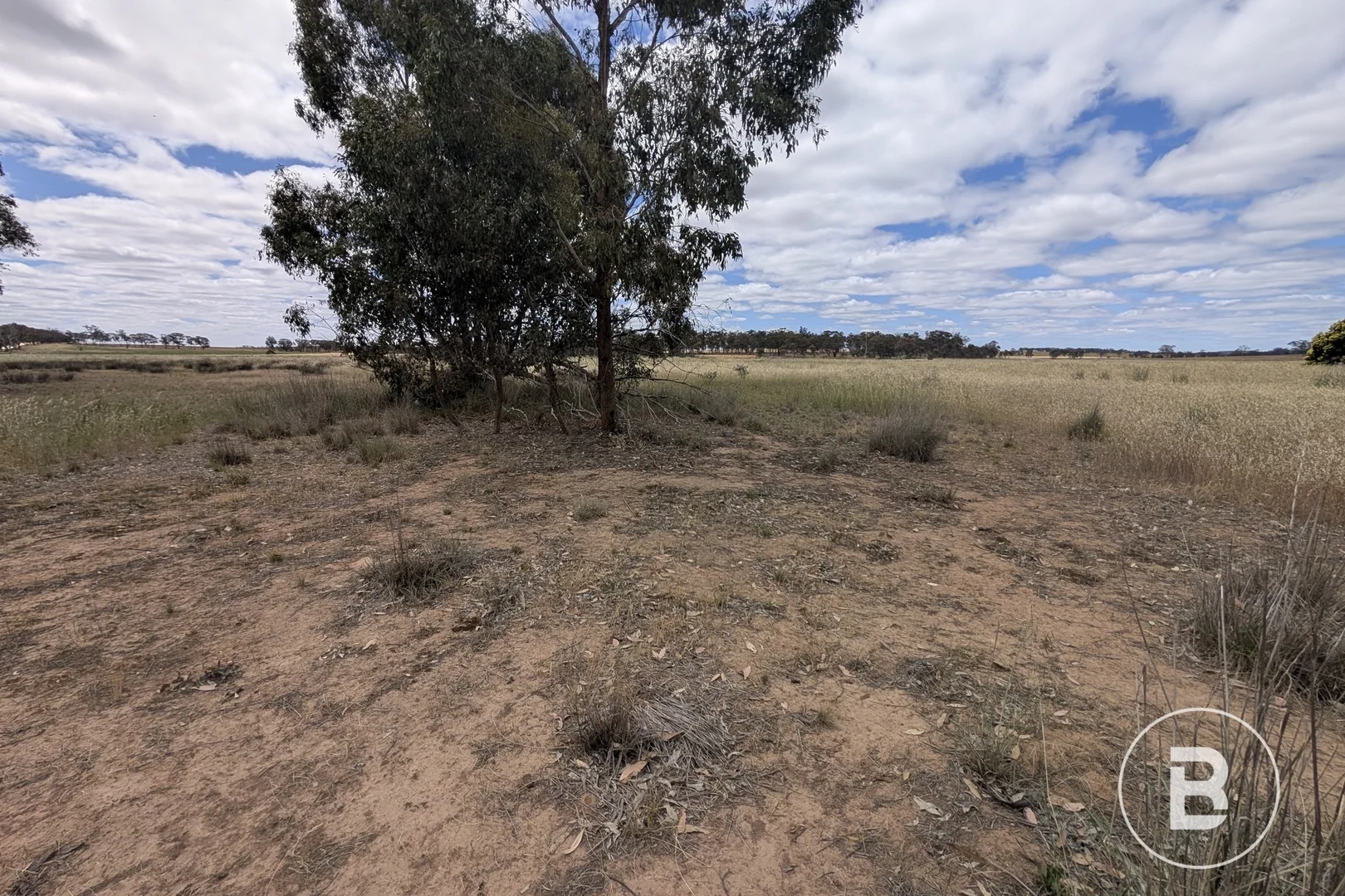 Additional image 6 of 5a Logan-Bealiba Road, Cochranes Creek VIC 3475