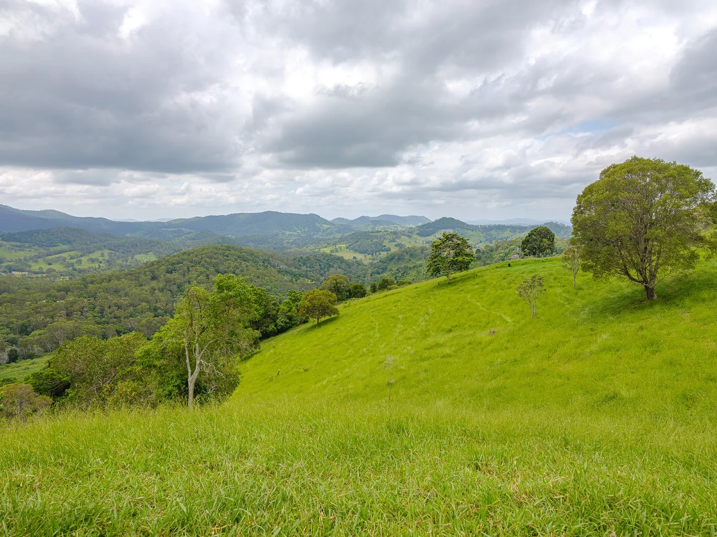 Additional image 5 of 149 Coppermine Creek Road, Langshaw QLD 4570