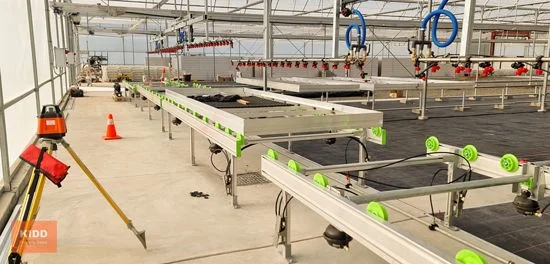 Additional image 5 of Peats Ridge NSW 2250