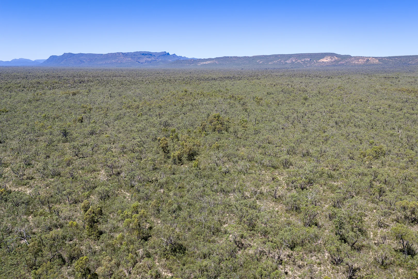 Additional image 8 of Golton South Road, Dadswells Bridge VIC 3385