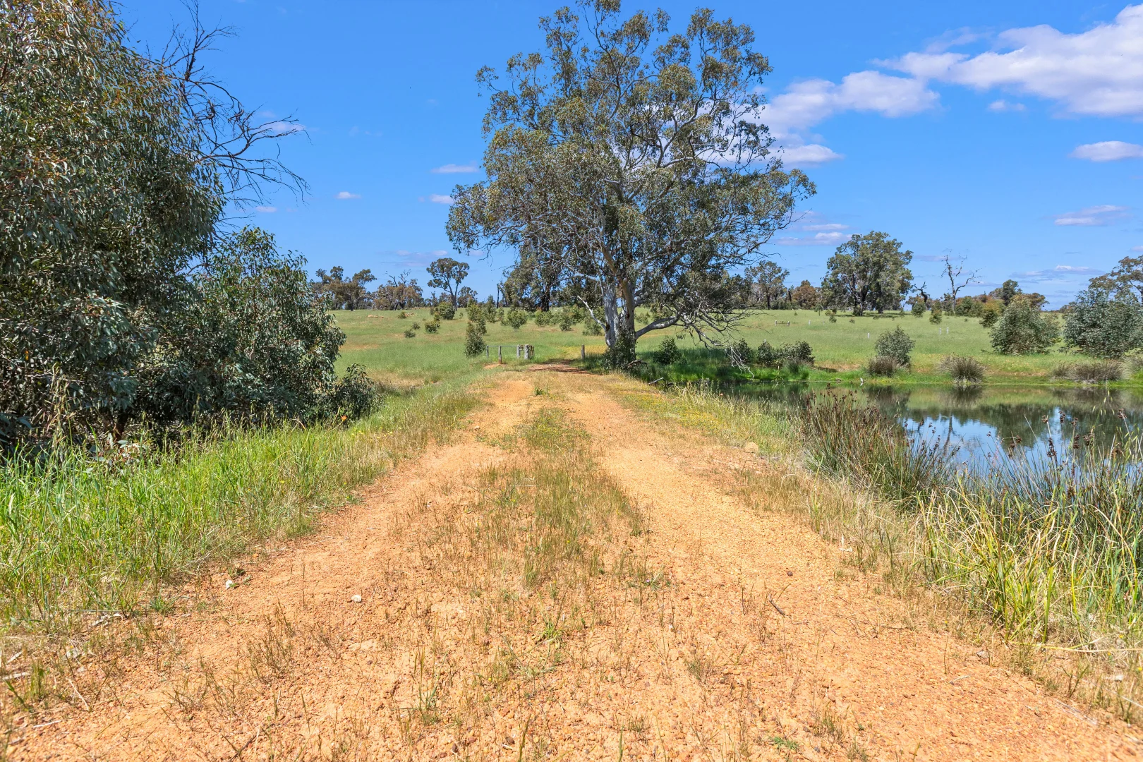 Additional image 18 of Gidgegannup WA 6083