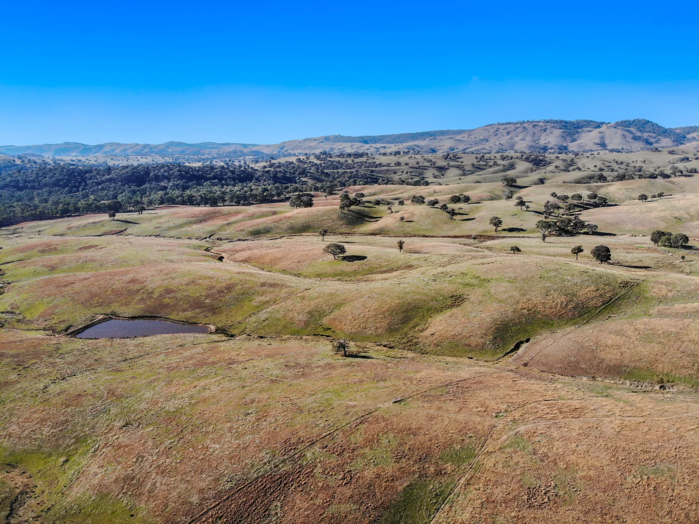 Additional image 3 of 1072 Wee Jasper Road, Tumut NSW 2720