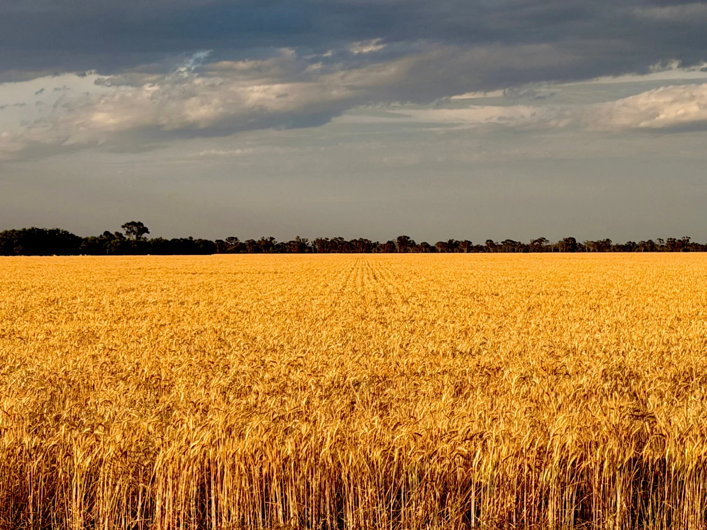 Additional image 33 of Buddabadah NSW 2825