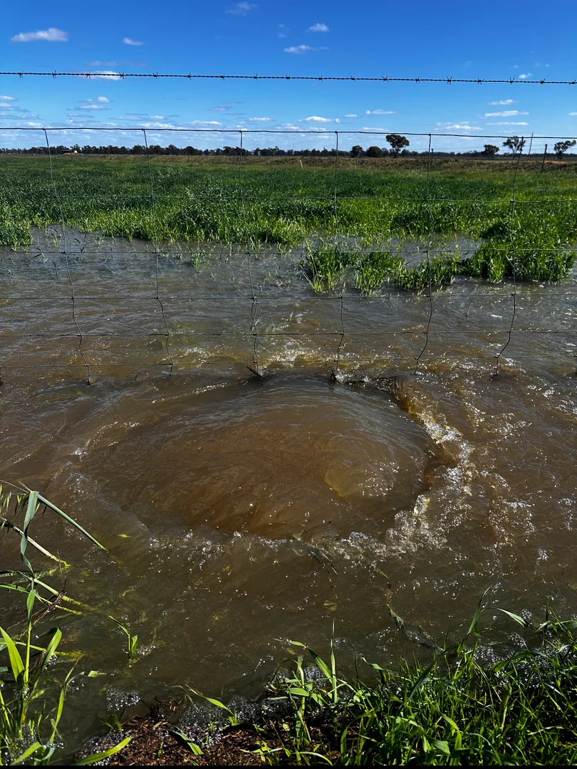 Additional image 18 of 229 Elliots Lane, Forbes NSW 2871