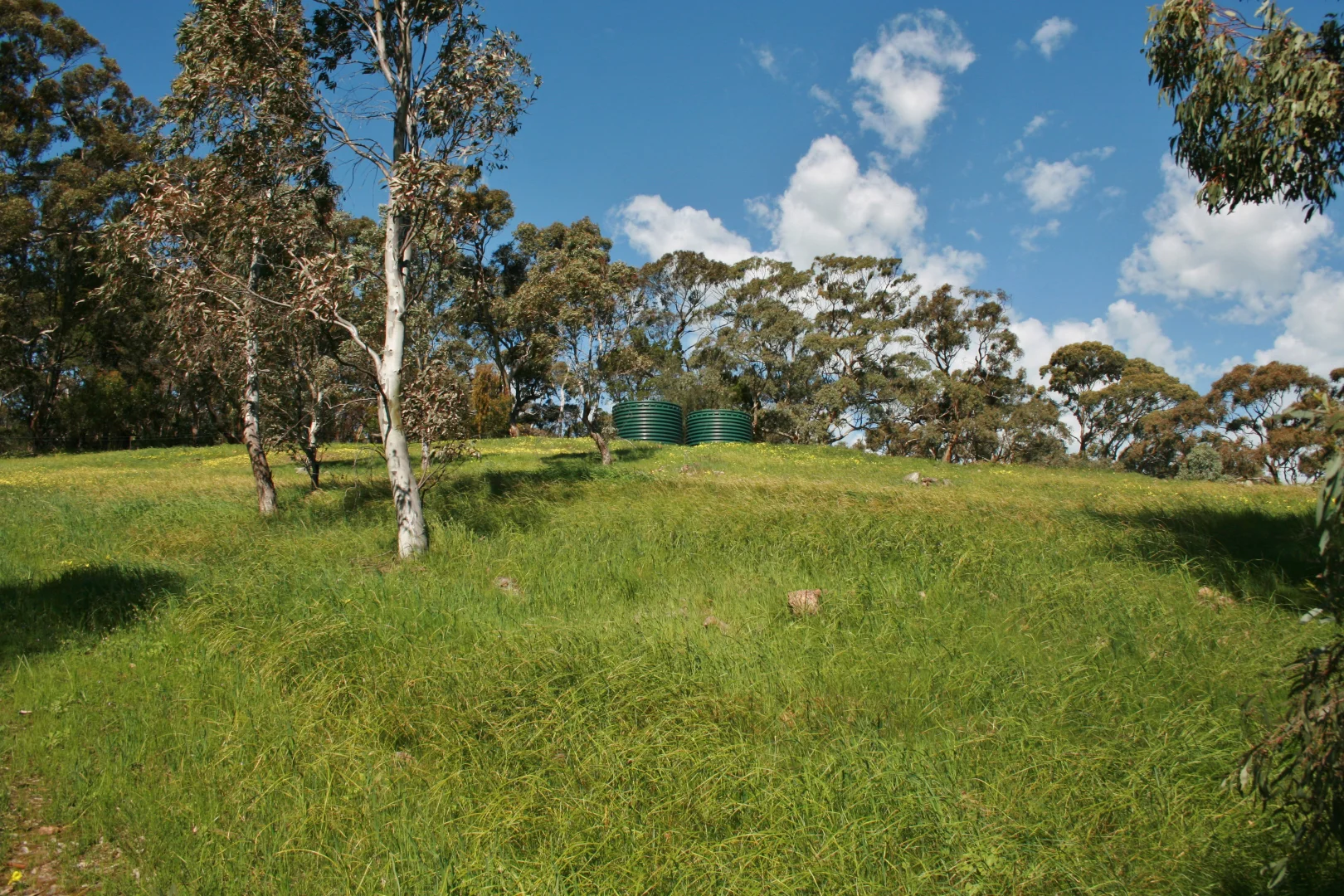 Additional image 6 of Lot 32 Horrocks Road, Penwortham SA 5453