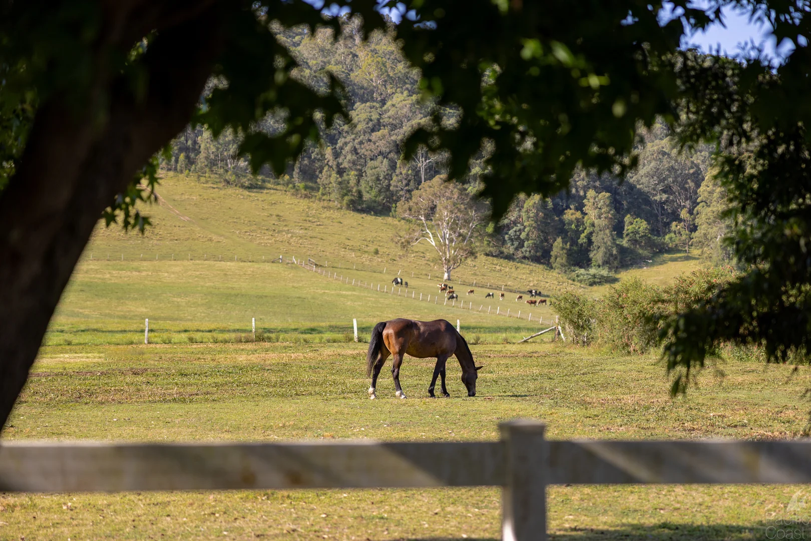 Additional image 27 of 34 Glacier Lane, Nabiac NSW 2312