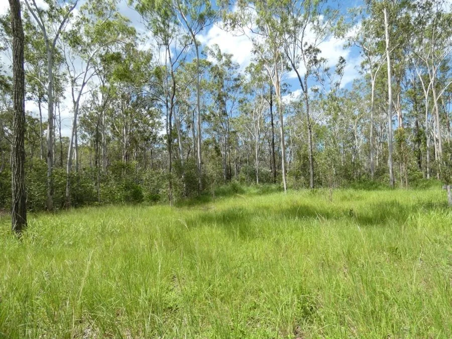 Additional image 18 of 397 Mollenhagens Road, Rosedale QLD 4674