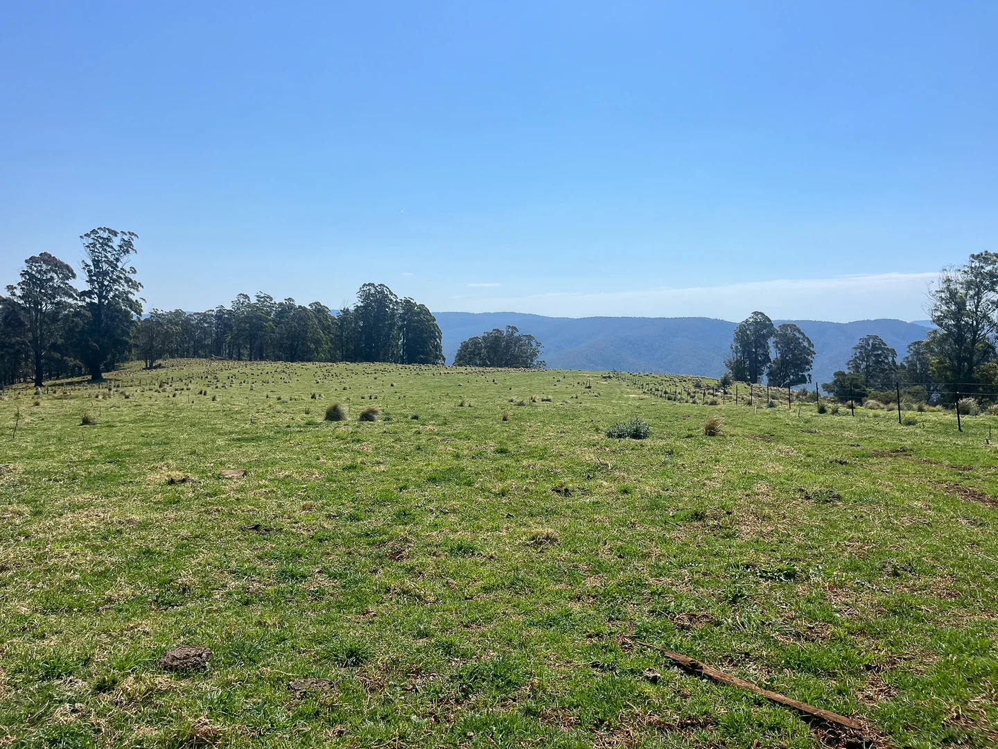 Additional image 15 of 638 Tops Road, Nowendoc NSW 2354