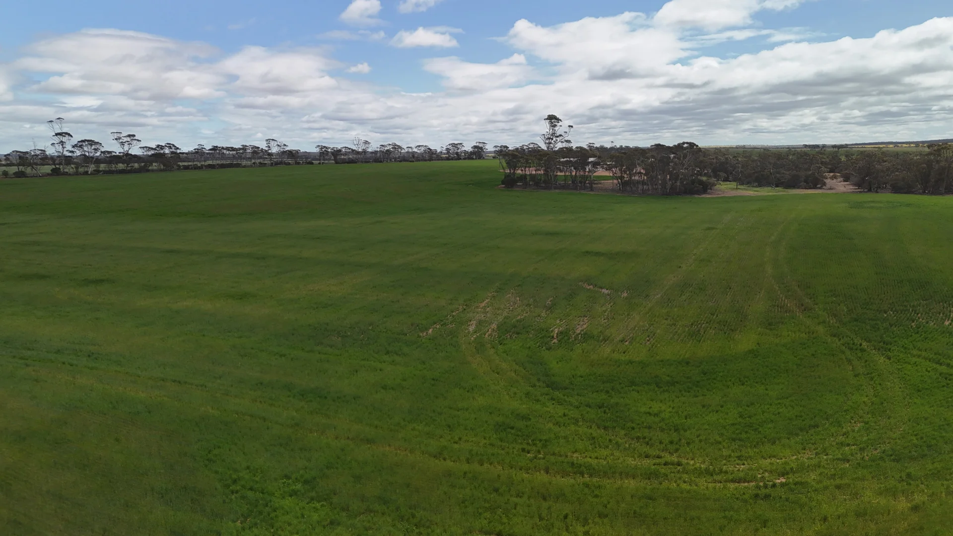 Additional image 5 of 3279 Calzoni Road, Hyden WA 6359