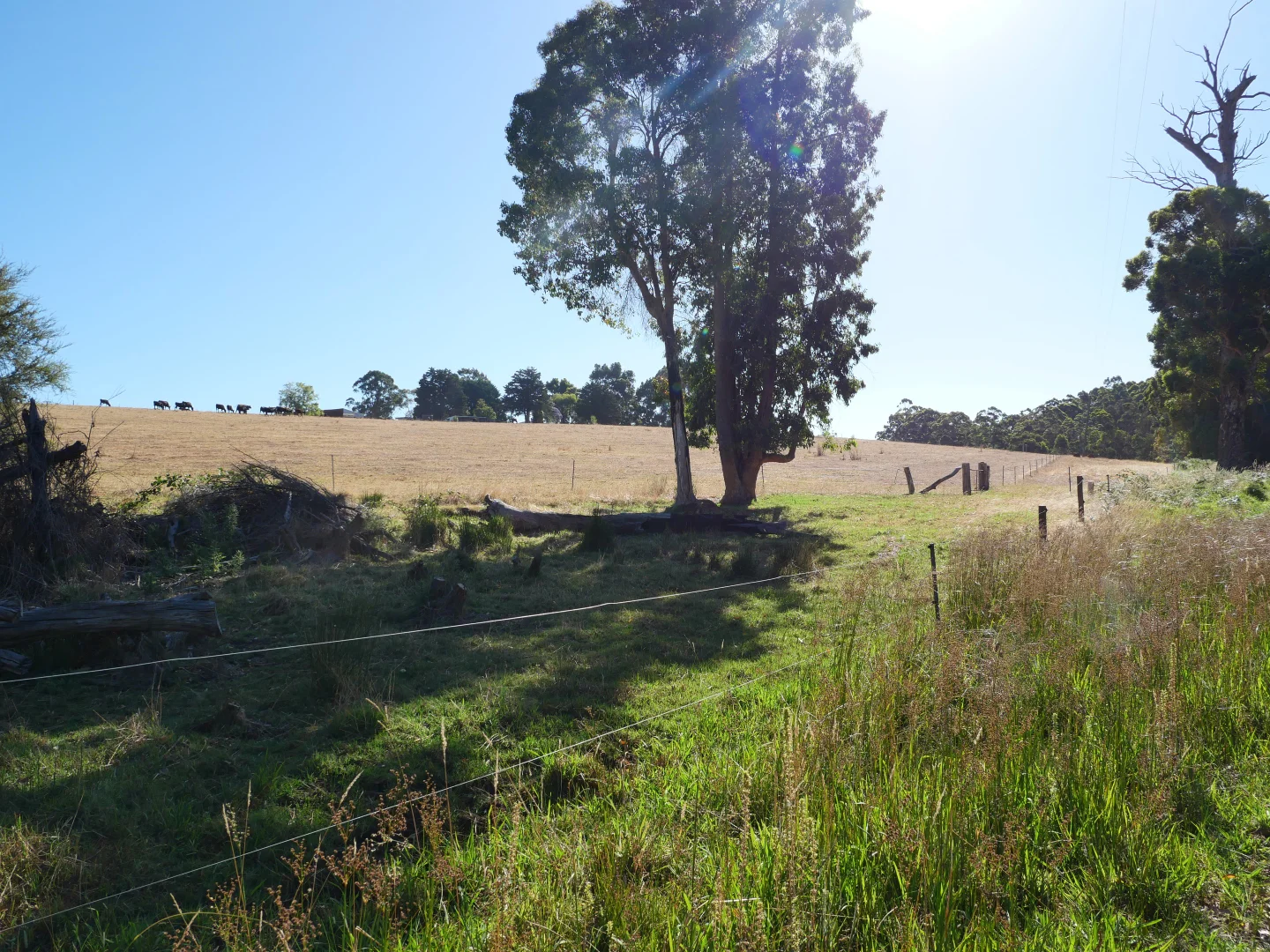 Additional image 9 of 61 Hayes Road, East Nannup WA 6275