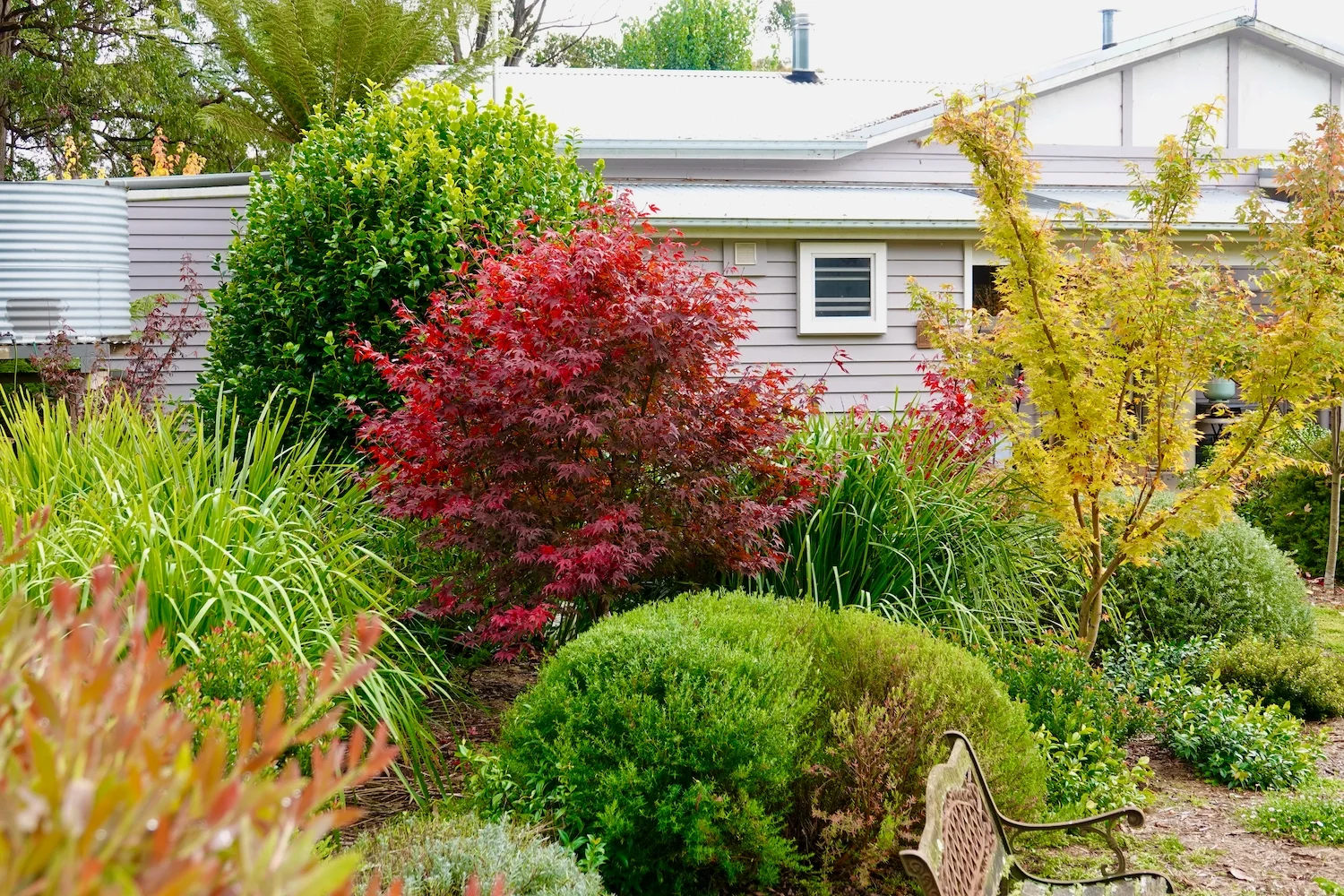 Additional image 16 of 10223 Armidale Road, Hernani NSW 2453