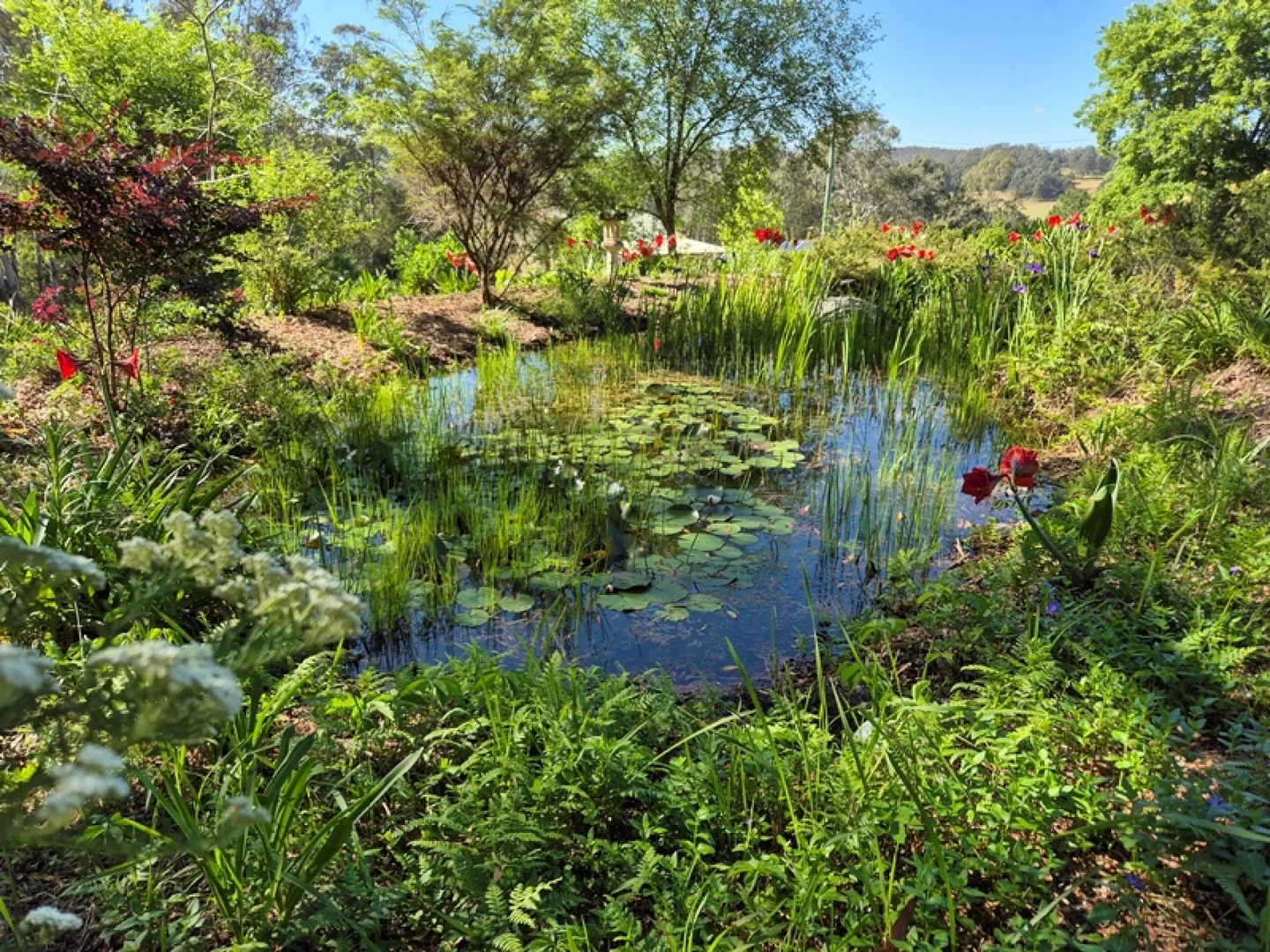 Additional image 26 of Dorrigo NSW 2453