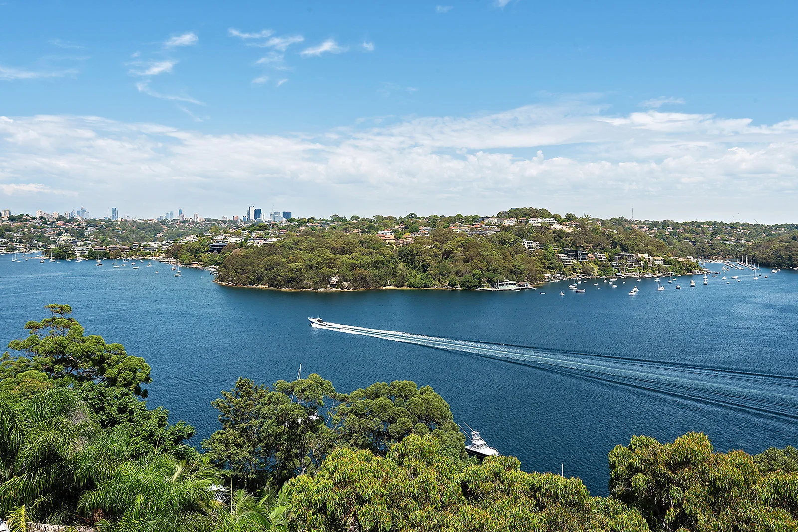 Additional image 8 of 117 Seaforth Crescent, Seaforth NSW 2092