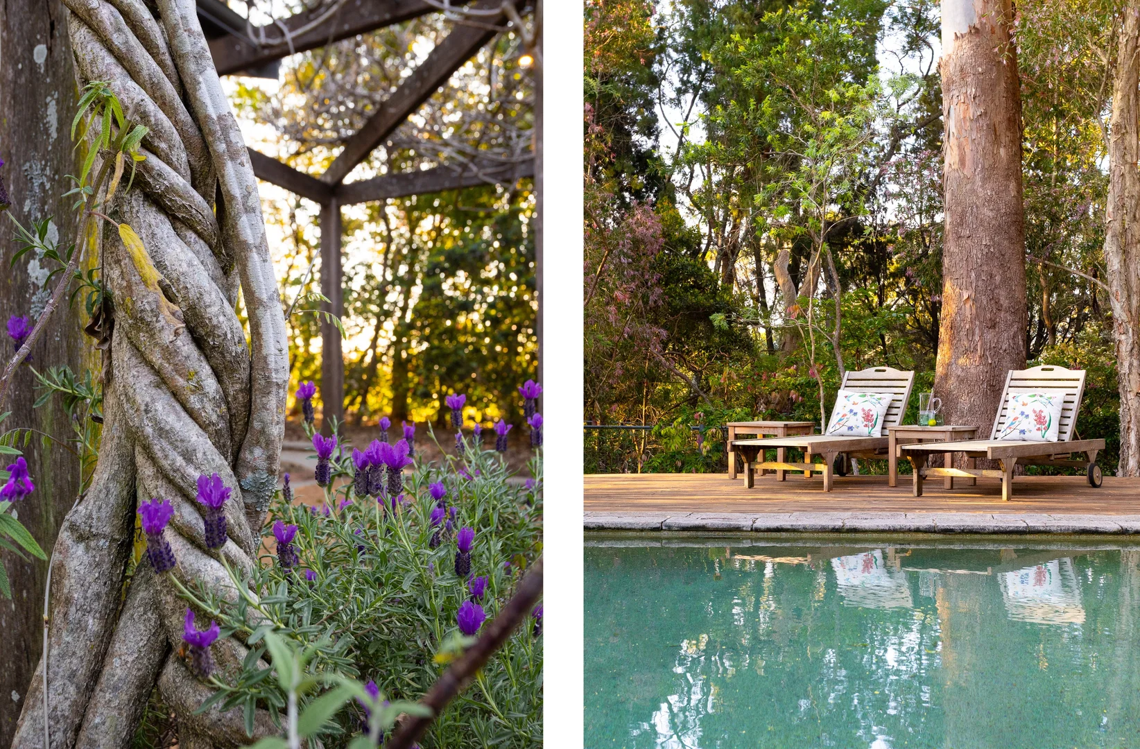 Additional image 43 of 9 Namba Road, Duffys Forest NSW 2084