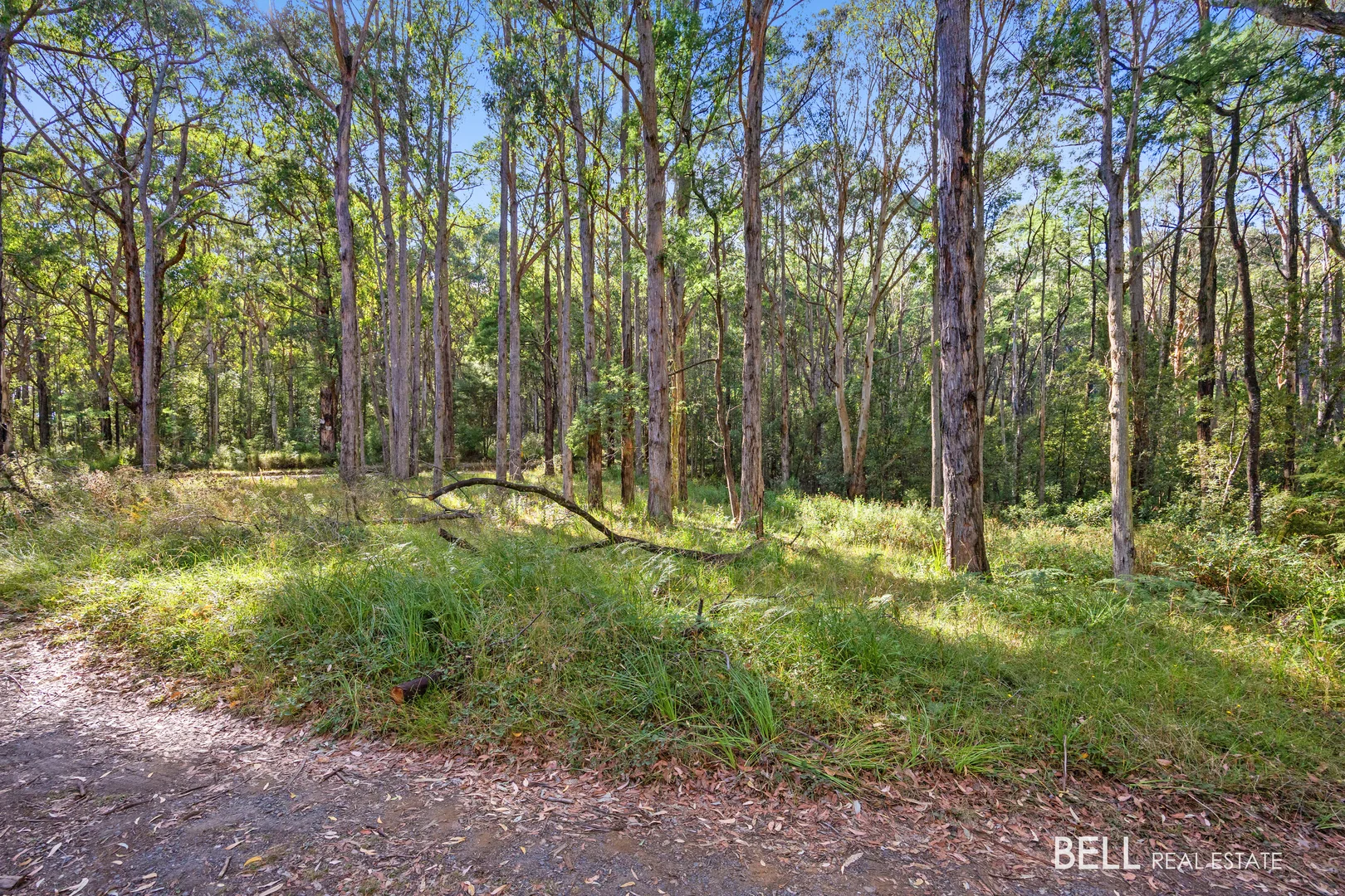 Additional image 8 of 400 Old Warburton Road, Warburton VIC 3799