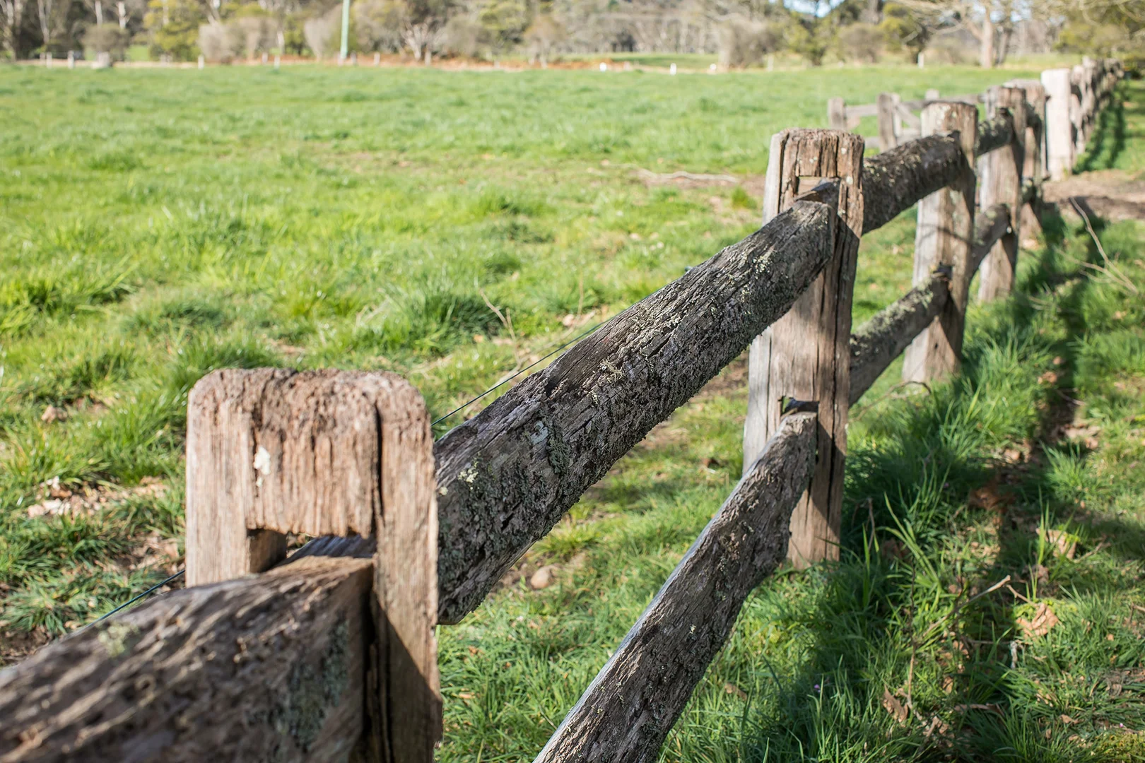 Additional image 18 of 100 Blencowes Lane, Wildes Meadow NSW 2577