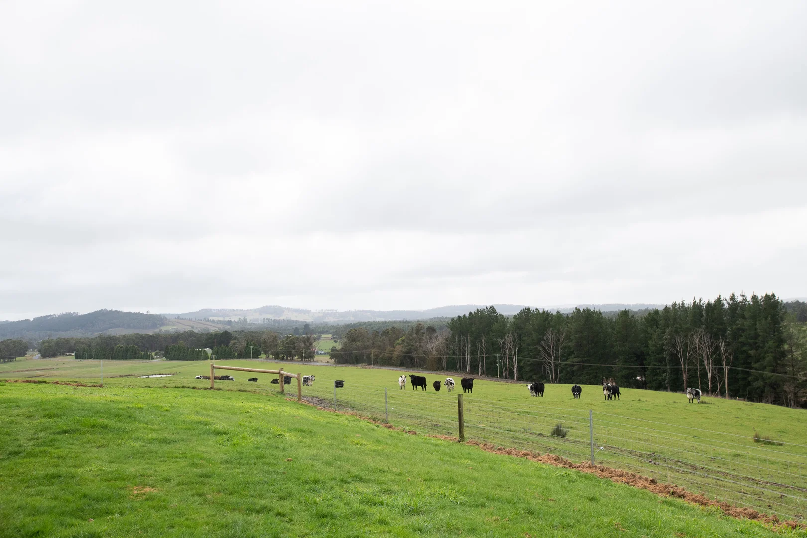 Additional image 30 of 29 Glengarry Road, Glengarry TAS 7275