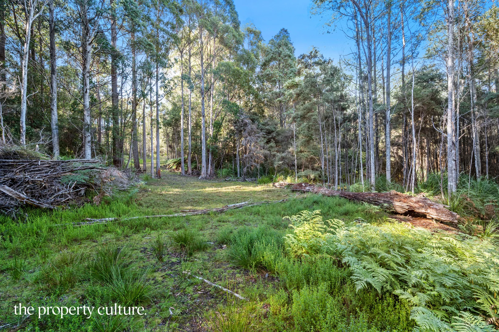 Additional image 12 of 2 Deering Street, Franklin TAS 7113