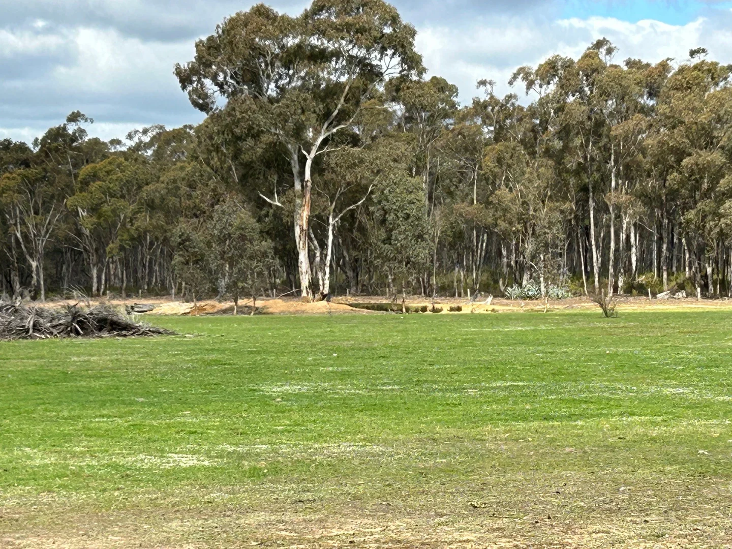 Additional image 4 of 104 Parkers Road, Moliagul VIC 3472