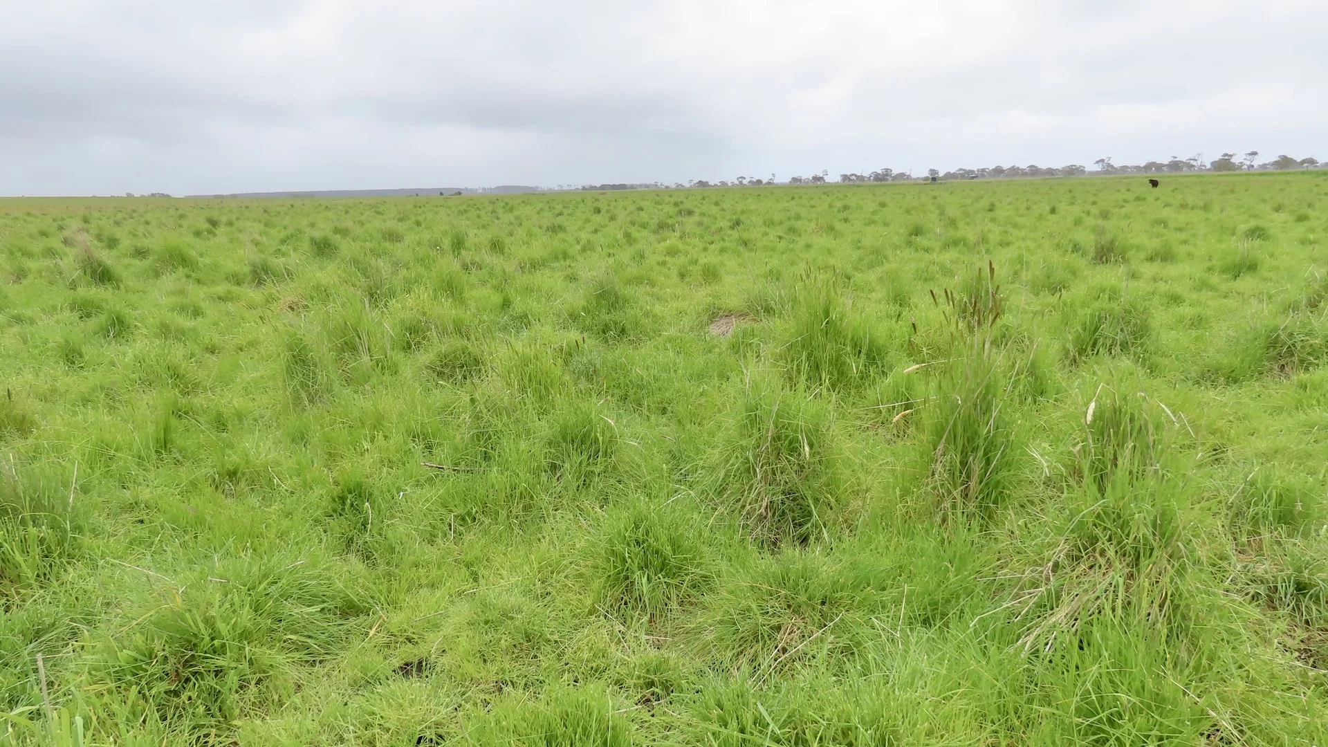 Additional image 32 of Contact Agent, Macarthur VIC 3286