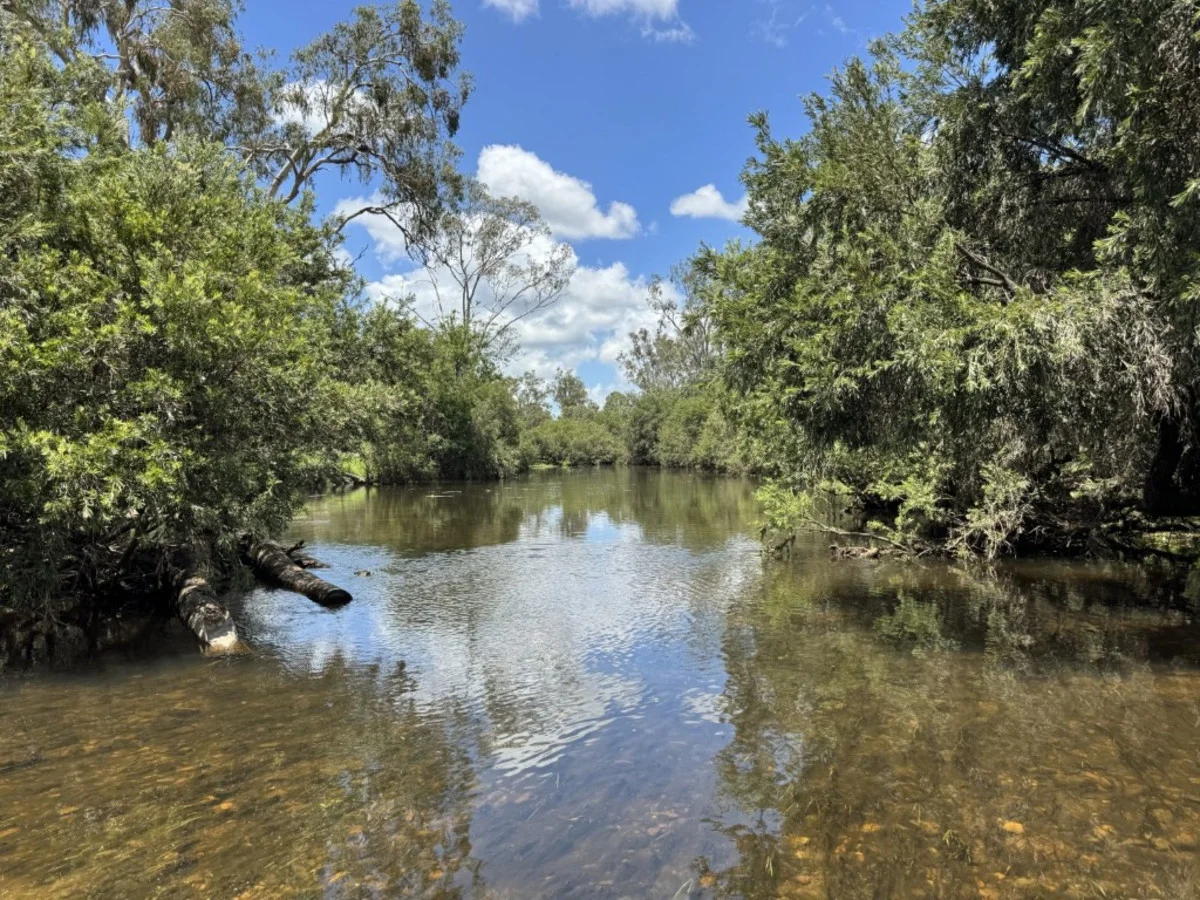 Additional image 6 of 2655 Clonmel Road, Monto QLD 4630