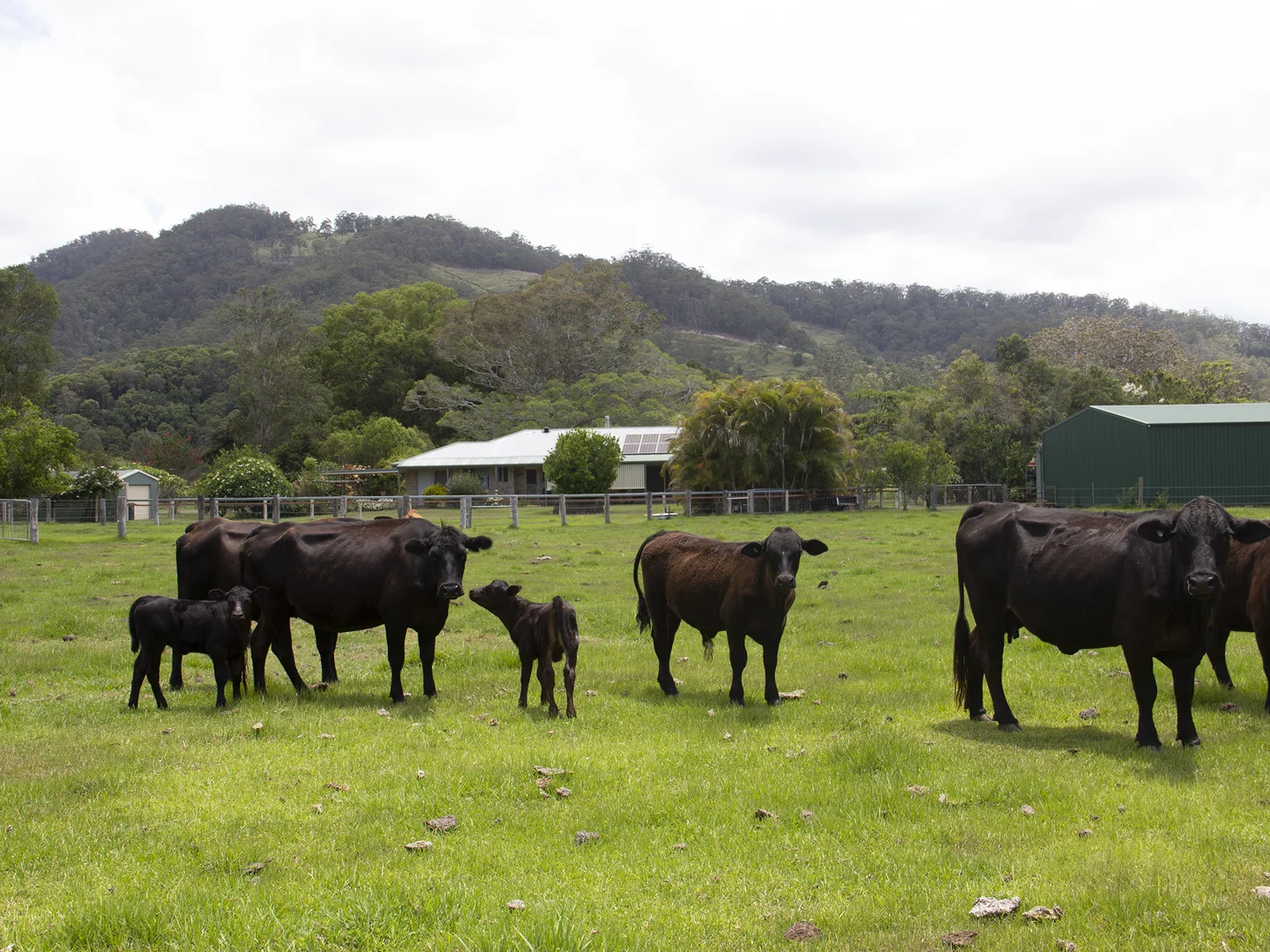 Additional image 3 of 400 Chilcotts Road, Chillingham NSW 2484
