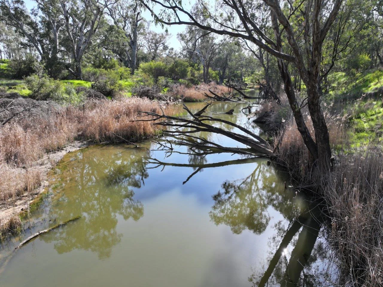Additional image 21 of 747 Old Bridgewater-Serpentine Road, Serpentine VIC 3517
