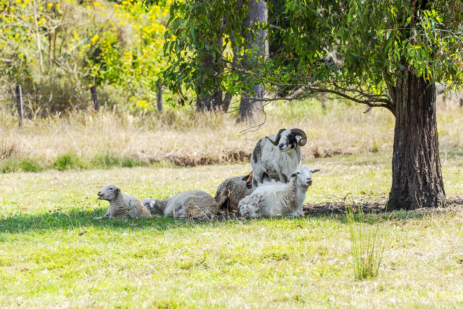 Additional image 24 of 147 Varley Road North, Glenwood QLD 4570