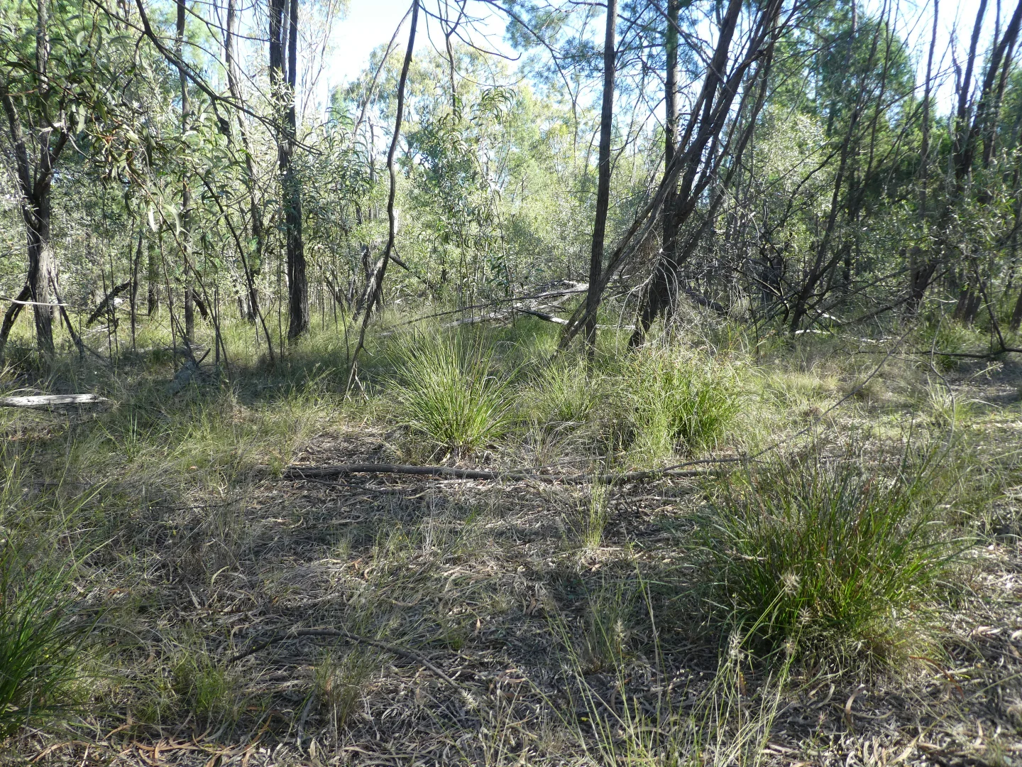 Additional image 4 of Lot 30 Dahlkes Road, Tara QLD 4421