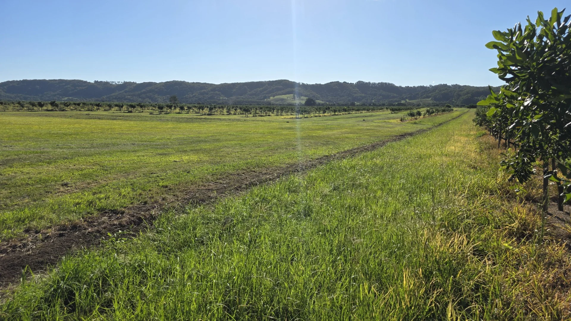 Additional image 11 of 292 Pimlico Road, Pimlico NSW 2478