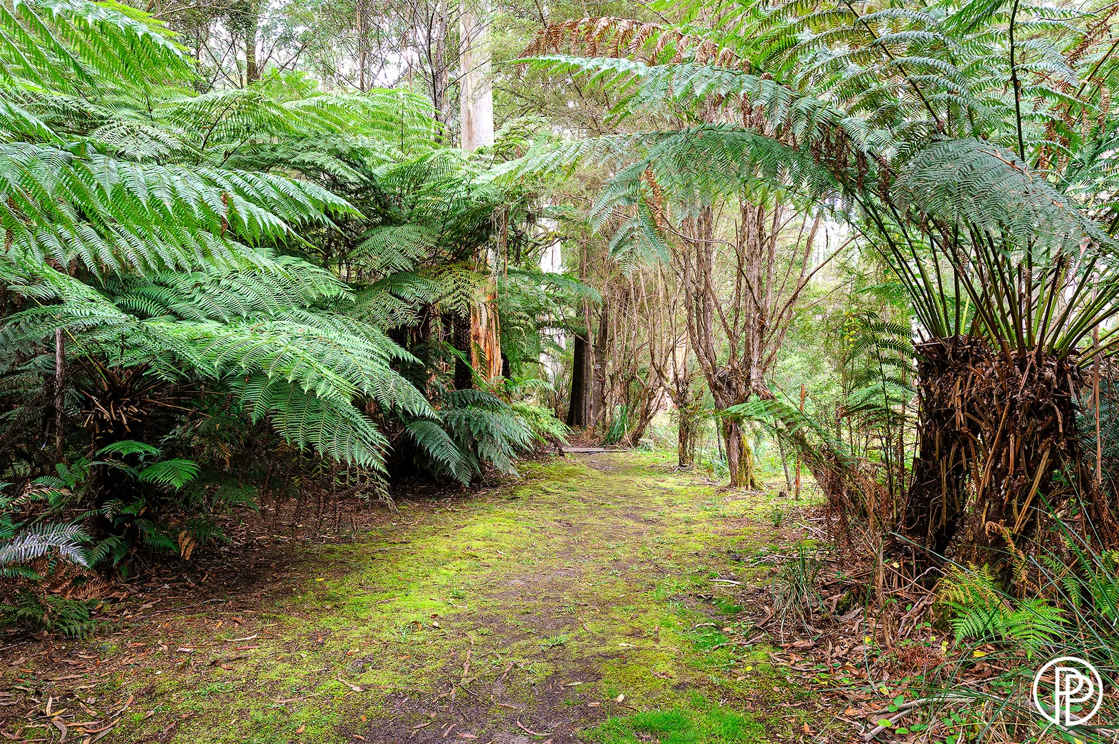 Additional image 18 of 8 Anglers Drive, East Warburton VIC 3799